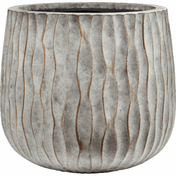 Wave Pax M, Fossil Washed