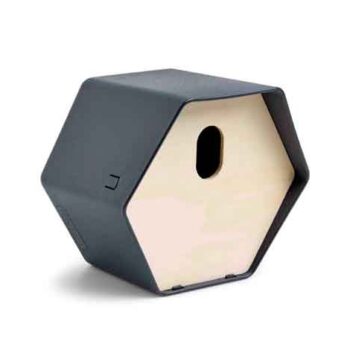 Bird house 2 Hive anthracite