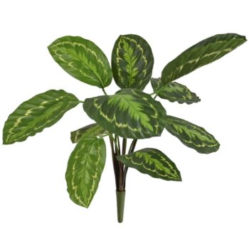 Calathea Roseopicta Kunstplant