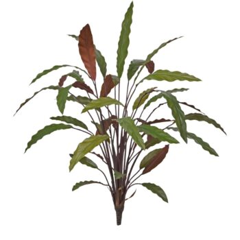Calathea  Kunstplant Groen/rood