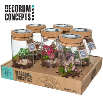 Terrarium Sirius medium incl Solarlight(Decorum concepts)