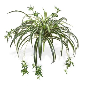 Chlorophytum Kunsthangplant