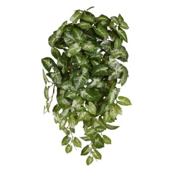 Syngonium Kunsthangplant  bont