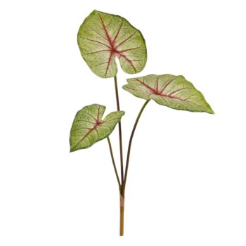 Caladium White Queen Kunstplant