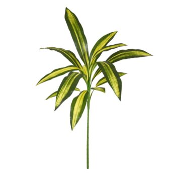 Draceana Fragrans  Kunstplant Burley