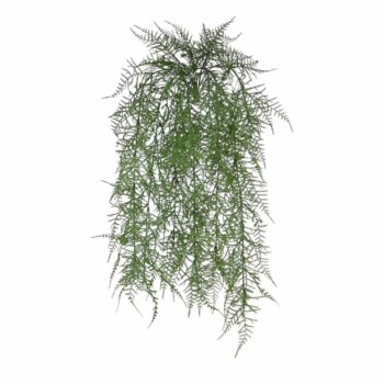 Asparagus Kunsthangplant