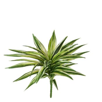 Draceana Kunstplant Bont