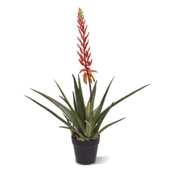 Aloe Vera Kunstplant  rood