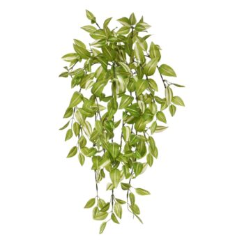 Tradescantia Kunsthangplant groen-bont