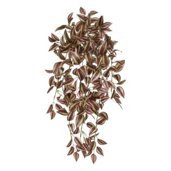 Tradescantia Kunsthangplant paars