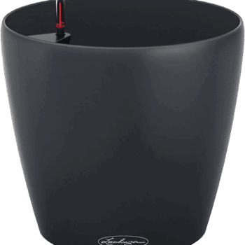 Lechuza Classico Color Eco 35 All Inclusive Set Dark Grey