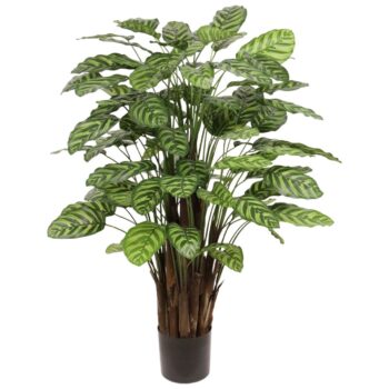 Calathea Makoyana kunstplant Deluxe