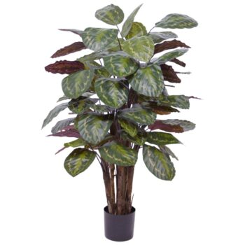 Calathea Roseopicta kunstplant Deluxe  rood