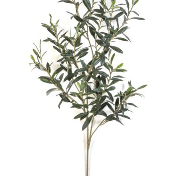 Giant olive spray