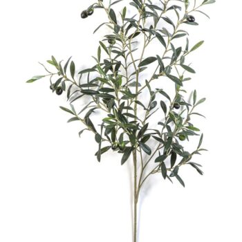 Giant olive spray w/fruits