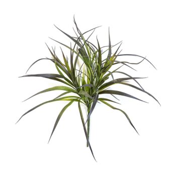 Small grass bunch green/red