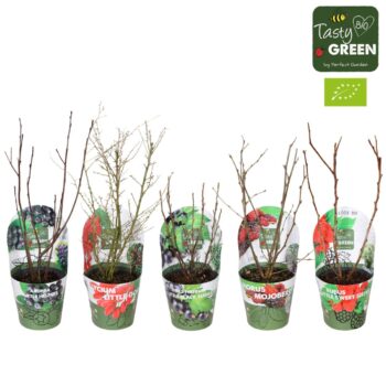 Fruit mix laag potcover Bio P14