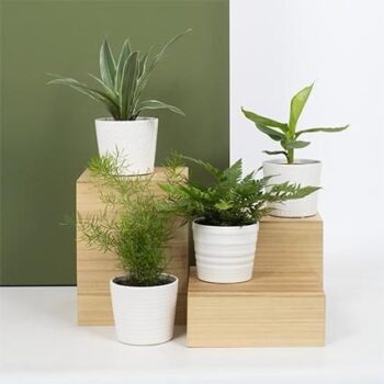 Groen Mix 12cm - Classic - Trendkeramiek G