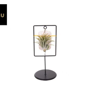 Tilly Tiles in Design Frame Single