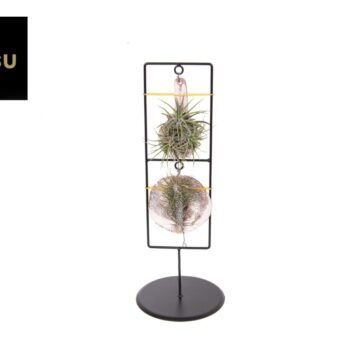 Tilly Tiles in Design Frame Double