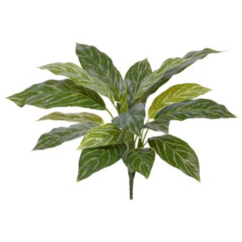 Aglaonema  kunstplant RT