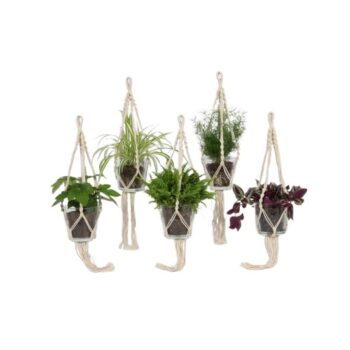 Groen Mix 10.5cm - Glasgow in Macramehanger