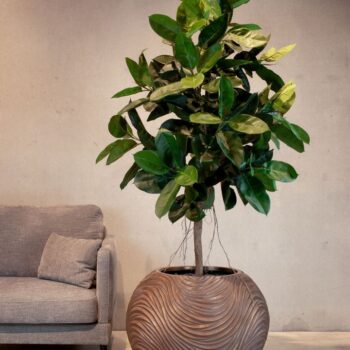 Curved River planter Globe, Ø 70 cm, height 56 cm, bronze