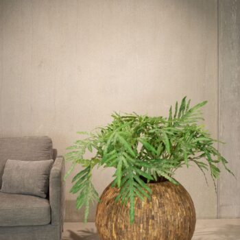 Woody planter Globe, Ø 70 cm, height 56 cm