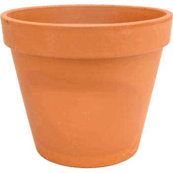 Terra Cotta Flowerpot