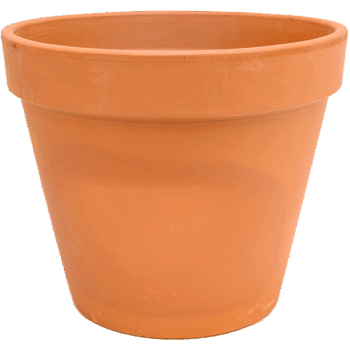 Terra Cotta Flowerpot