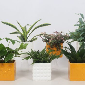 Groen Mix 12cm - Classic - Structuur keramiek mix vierkant C