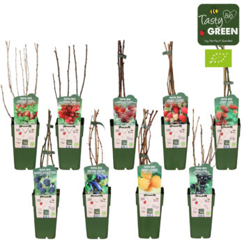 Fruit mix laag bio standaard P15