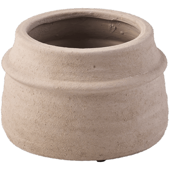 Gr.orch.pot D22 CHIVE