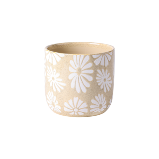 Gr.orch.pot D16,5 DAISY