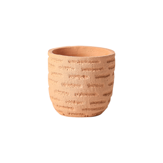 Gr.orch.pot D17 PINE