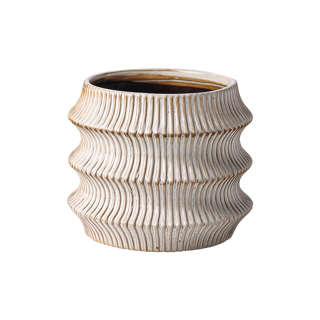 Gr.orch.pot D19,5 MAGNOLIA