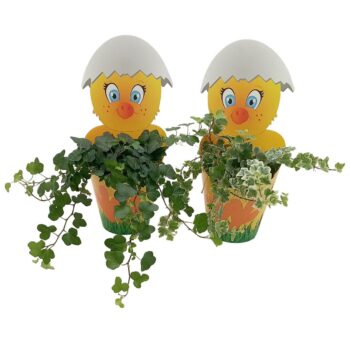 Hedera White Wonder & Wonder Paaskuiken potcover