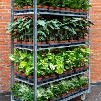 groenmix 12CM Trolley deal B