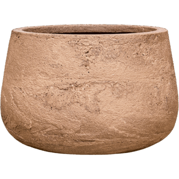 Baq Algar Darcy Brown