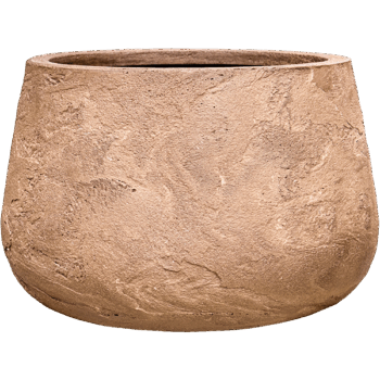 Baq Algar Darcy Brown