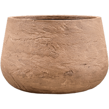 Baq Algar Darcy Brown