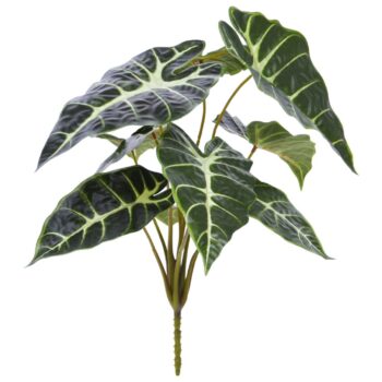 Alocasia Kunstplant Promo  groen