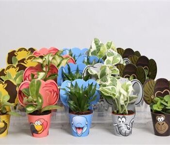 Gemengde Miniplantjes Met Beestenpotcover