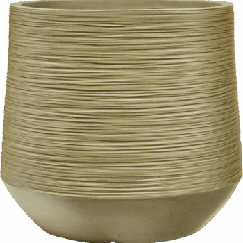 Baq Dune Darcy Green