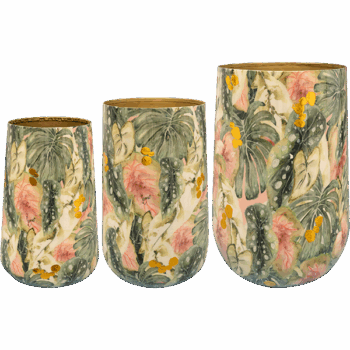 Vase set of 3 Monstera mystery D20 H29