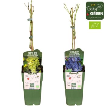 Vitis mix laag Bio P15