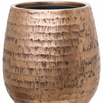 Baq Opus Hammered Darcy Gold (with liner)