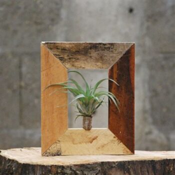 Wood Frame Tilly plus