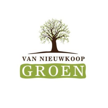 Buxus sempervirens Bol 25cm