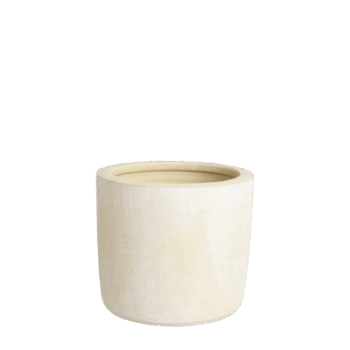 Gr.orch.pot D18 MIMOSA